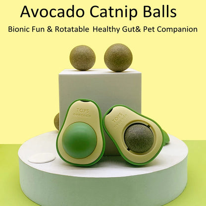 Avocado Spinning Catlick